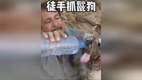 中东老哥徒手就把洞里的肛肠科主任抓了出来、主任能被放生吗