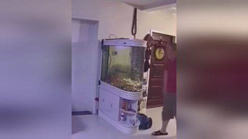 要不是有监控、我是万万想不到会有这么诡异的一幕