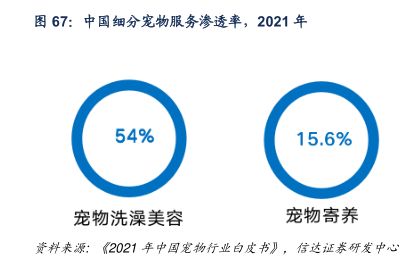 中国细分宠物服务渗透率，2021年 - 2023年01月 - 行业研究数据
