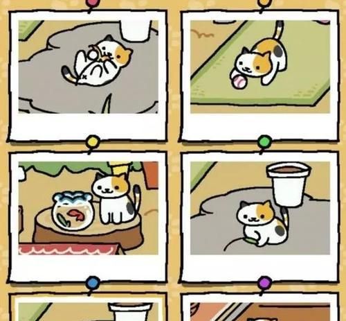 猫咪后院，如何打造宠物天堂（打造宠物天堂，让猫咪更健康、快乐）