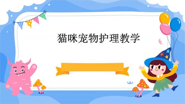 猫咪宠物护理教学_第1页