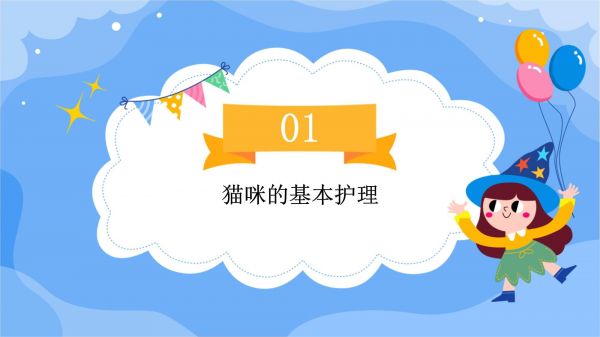 猫咪宠物护理教学_第3页
