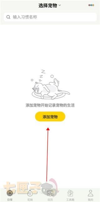 宠日常