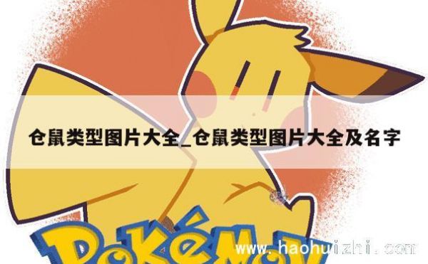仓鼠类型图片大全_仓鼠类型图片大全及名字 第1张