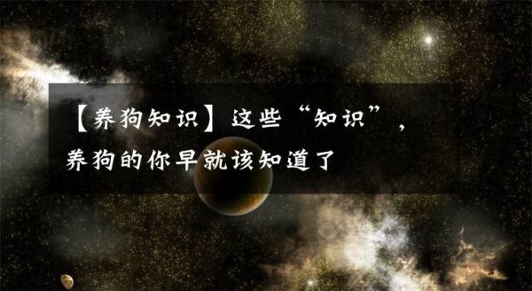 【养狗知识】这些“知识”，养狗的你早就该知道了文章配图