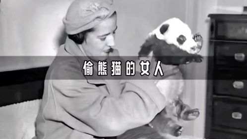 她偷走2只熊猫，导致它俩被做成标本，她竟被美国人称为英雄