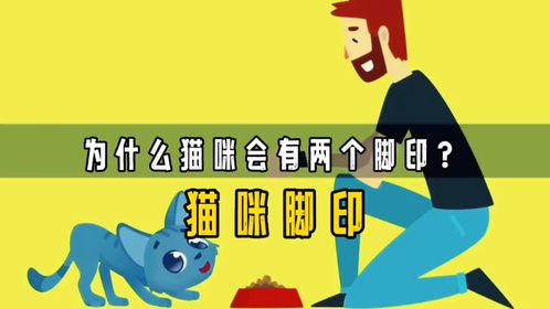 猫咪4条腿走路，为何只会留下两个脚印？它们真的被驯化了吗？