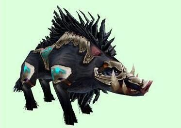 金猪年魔兽世界特殊猪宠物大合集