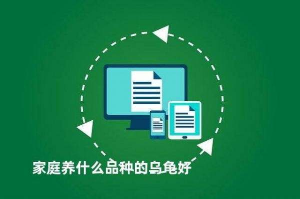 家庭养什么品种的乌龟好