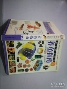 宠物鱼养护指南