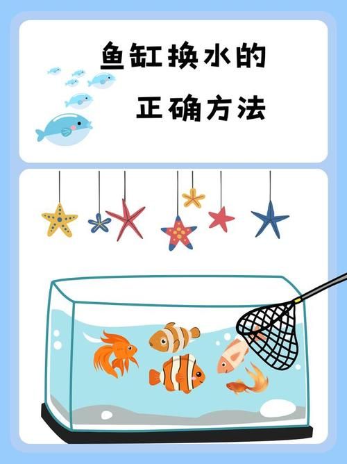 鱼缸水如何保持