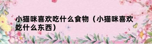 小猫咪喜欢吃什么食物（小猫咪喜欢吃什么东西）