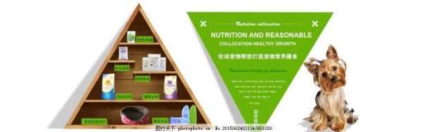 宠物营养搭配膳食海报分类导航透明