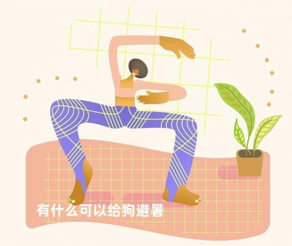 有什么可以给狗避暑