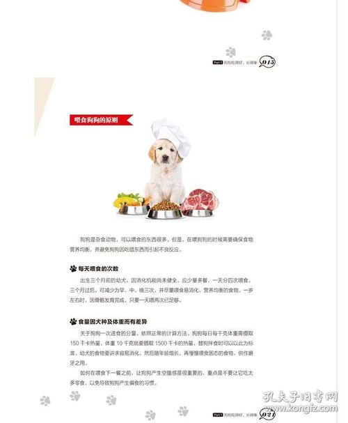 “狗狗营养食谱,喂养攻略必看!”