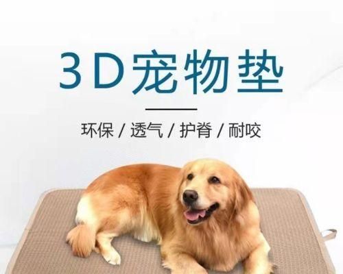 狗狗吃什么可以消炎？有效食物和食谱推荐？