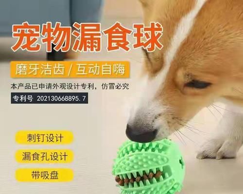 狗狗吃什么可以消炎？有效食物和食谱推荐？
