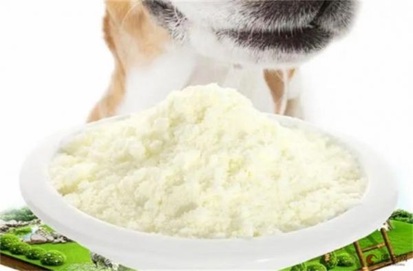 狗狗喝什么羊奶粉好 哪个品牌喂狗放心