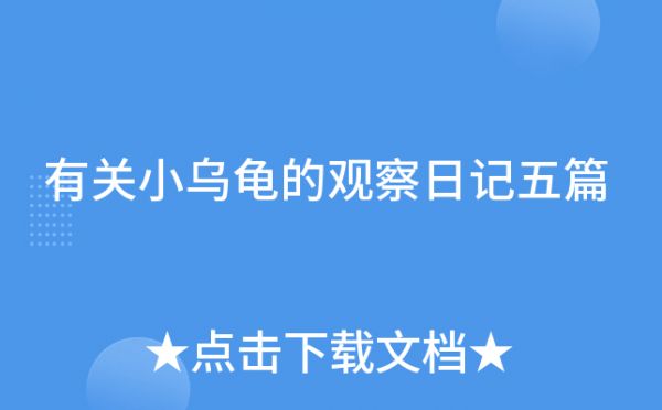 有关小乌龟的观察日记五篇