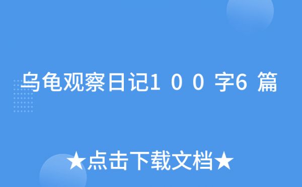 乌龟观察日记100字6篇