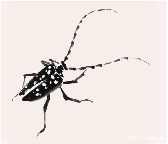 昆虫怎么观察