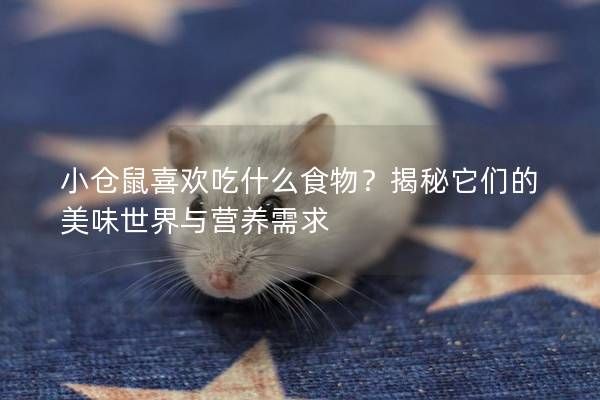 小仓鼠喜欢吃什么食物？揭秘它们的美味世界与营养需求