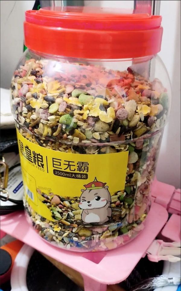 小仓鼠生宝宝（小仓鼠繁衍需要的食物及关键营养素解析）