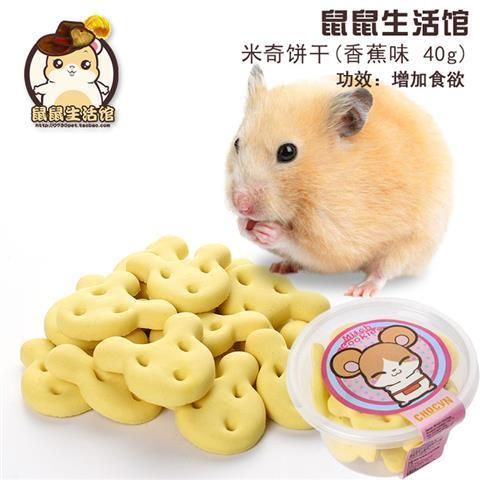 “仓鼠饮食攻略，营养搭配小窍门！”