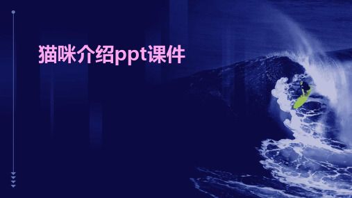 猫咪介绍ppt课件