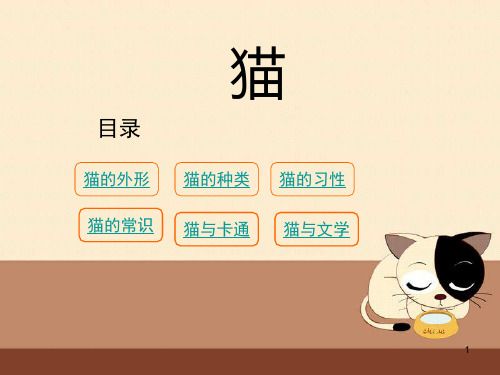 《猫》的介绍ppt课件