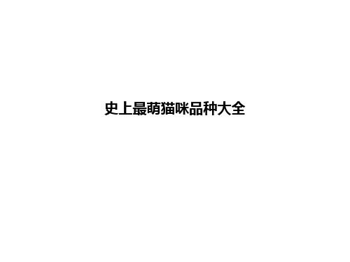 史上最萌猫咪品种大全ppt课件