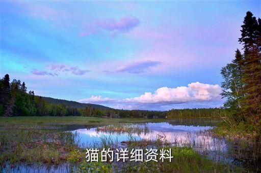 猫的详细资料