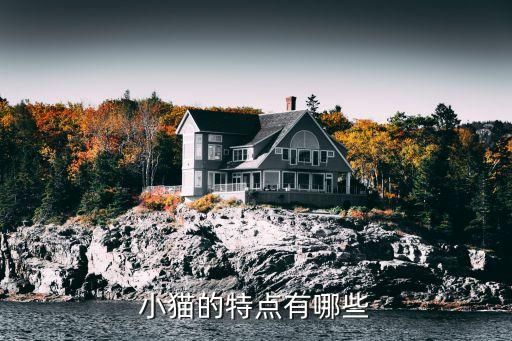 小猫的特点有哪些