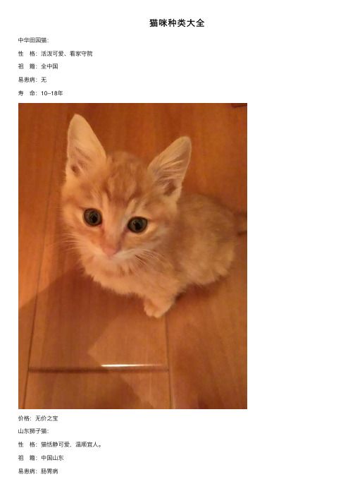 猫咪种类大全