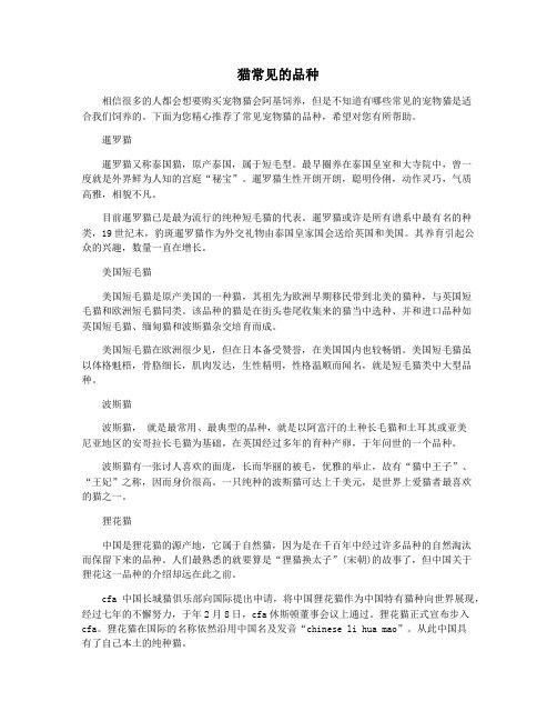 猫常见的品种