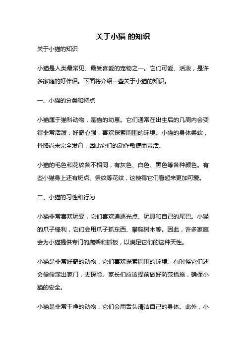 关于小猫 的知识