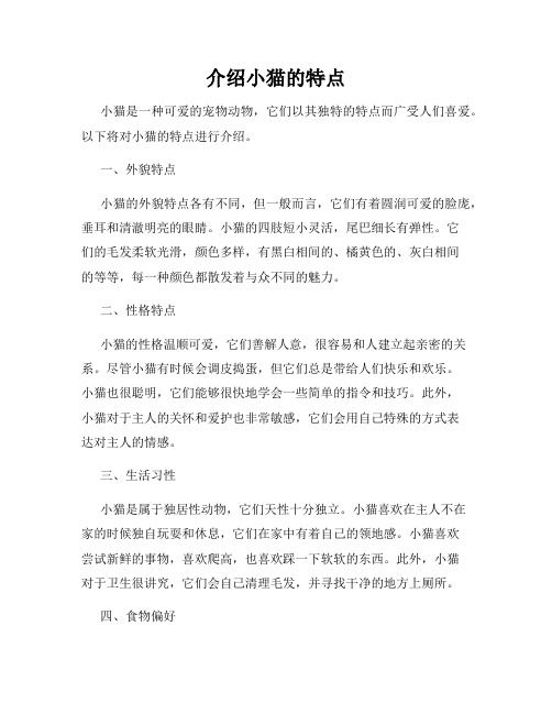 介绍小猫的特点