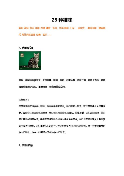 23种猫整理