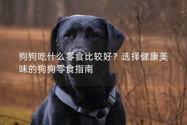 狗狗吃什么零食比较好？选择健康美味的狗狗零食指南
