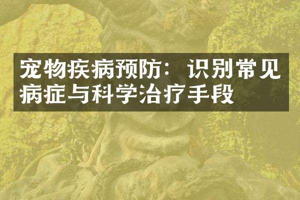 宠物疾病预防：识别常见病症与科学治疗手段