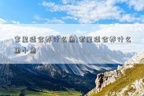 家里适合养什么鱼,家里适合养什么鱼小鱼
