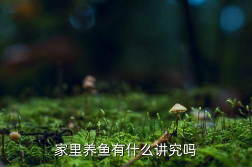 家里养鱼有什么讲究吗