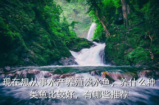 现在想从事水产养殖淡水鱼，养什么种类鱼比较好，有哪些推荐