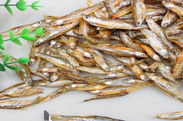 仓鼠也是吃货，馋嘴银狐爱上威化饼干，吃相让主人很为难