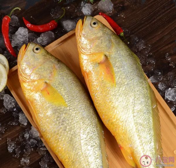 哪些鱼类适合给宝宝做辅食 适合给宝宝吃的鱼