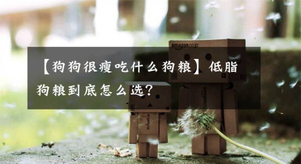 【狗狗很瘦吃什么狗粮】低脂狗粮到底怎么选？文章配图