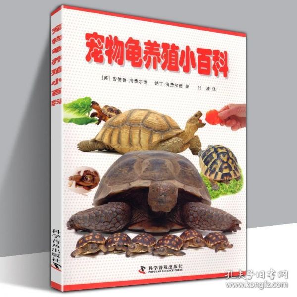 现货 宠物龟养殖小百科 (英)海费尔德 等宠物龟饲养方法宠物龟海龟 陆龟 宠物的饲养繁殖 健康常见问题乌龟疾病诊断治疗科普
