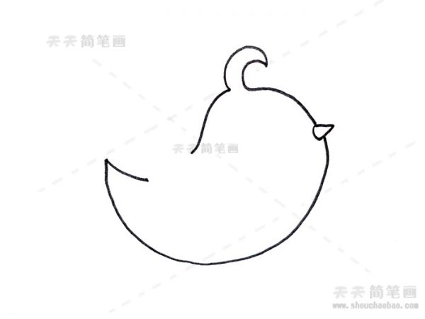 喜鹊简笔画,喜鹊简笔画彩色,喜鹊简笔画步骤