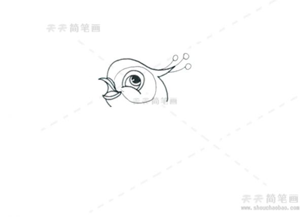 喜鹊简笔画,喜鹊简笔画彩色,喜鹊简笔画步骤