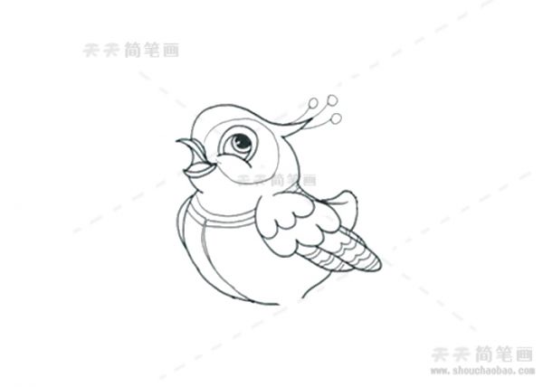 喜鹊简笔画,喜鹊简笔画彩色,喜鹊简笔画步骤